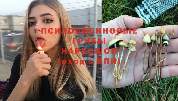 мяу мяу мука Алзамай