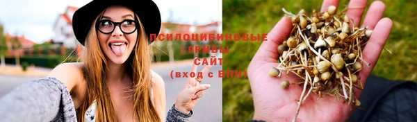 метадон Абаза