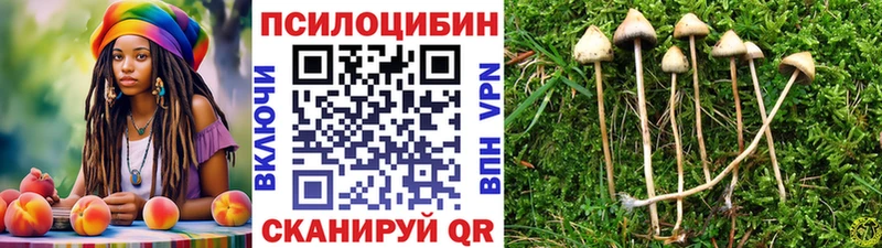 Галлюциногенные грибы Psilocybine cubensis  Ужур 